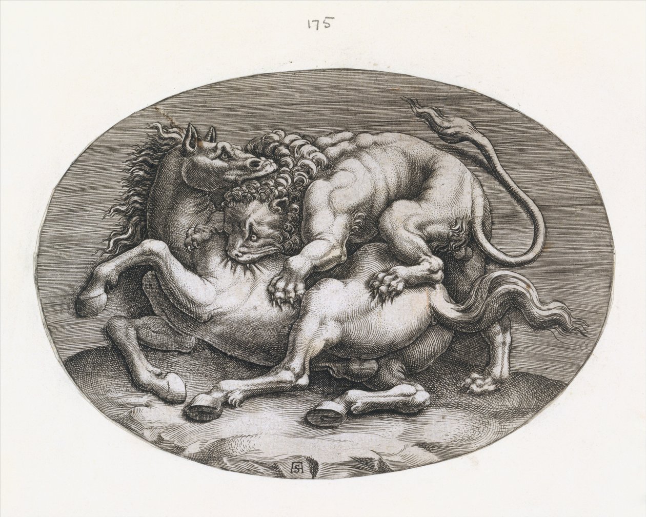 Speculum Romanae Magnificentiae: Leone che attacca un cavallo, c1540-80 da Adamo Scultori