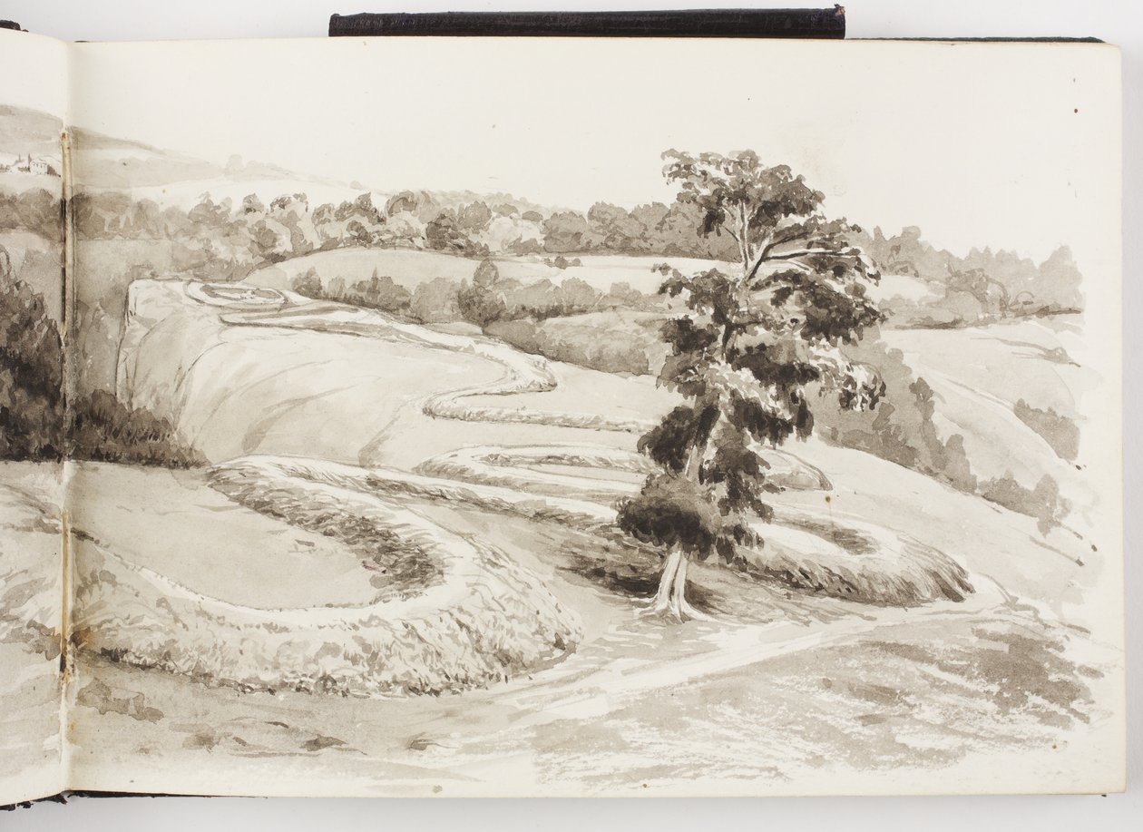 Taccuino di disegni a inchiostro e grafite e acquerelli da Adela Breton