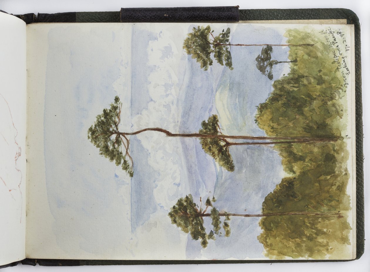 Taccuino di acquerelli, disegni e appunti, Messico, 1896-1898 da Adela Breton