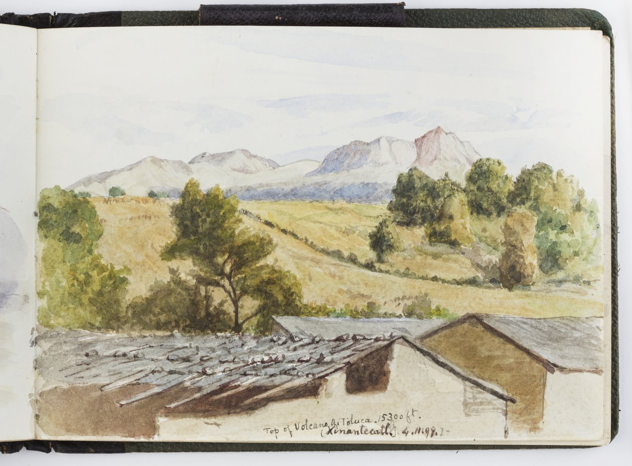 Taccuino di acquerelli, disegni e appunti, Messico, 1896-1898 da Adela Breton
