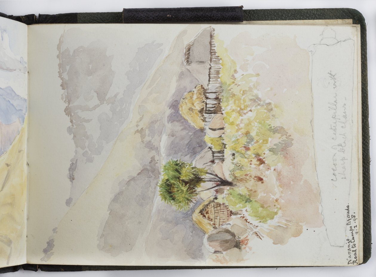 Taccuino di acquerelli, disegni e appunti, Messico, 1896-1898 da Adela Breton