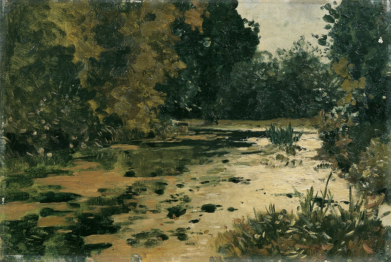 Stagno nel bosco da Adolf Gustav Ditscheiner