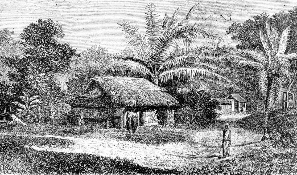 Villaggio nella valle di Colombo, Sri Lanka da Adolph Hermann & Robert (after) Schlagintweit