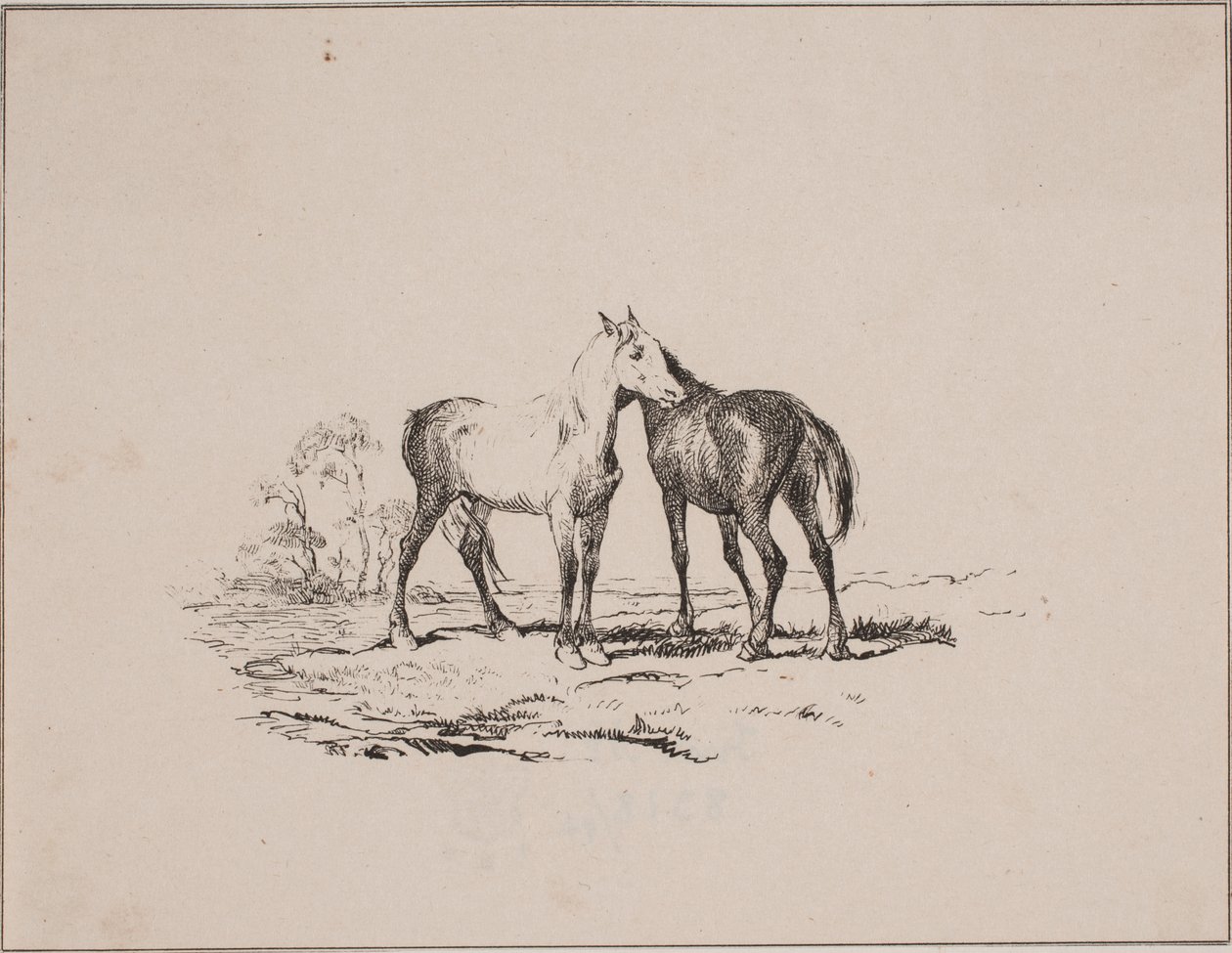 I due cavalli da Johan Adolph Kittendorff