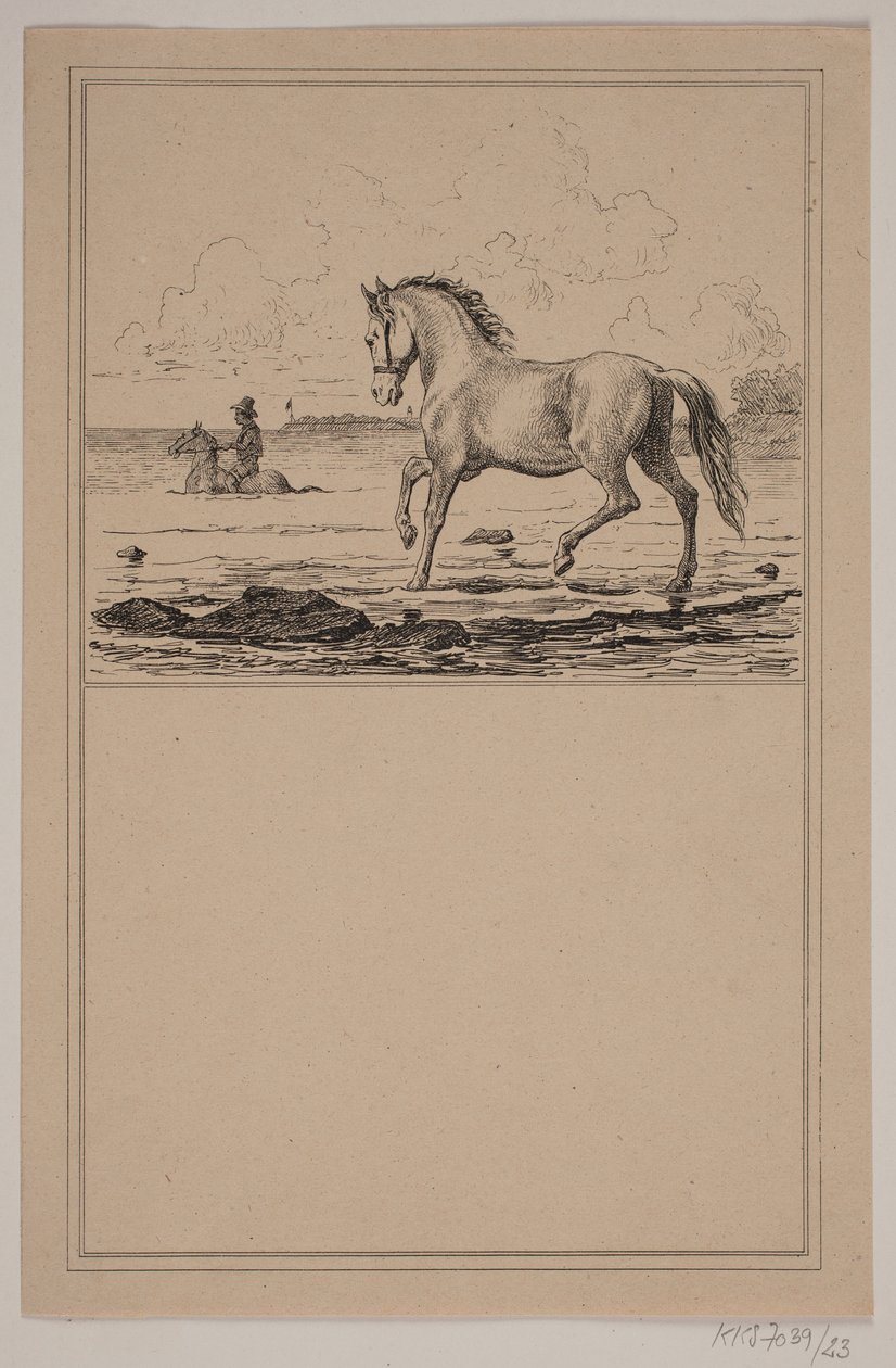Il cavallo nell