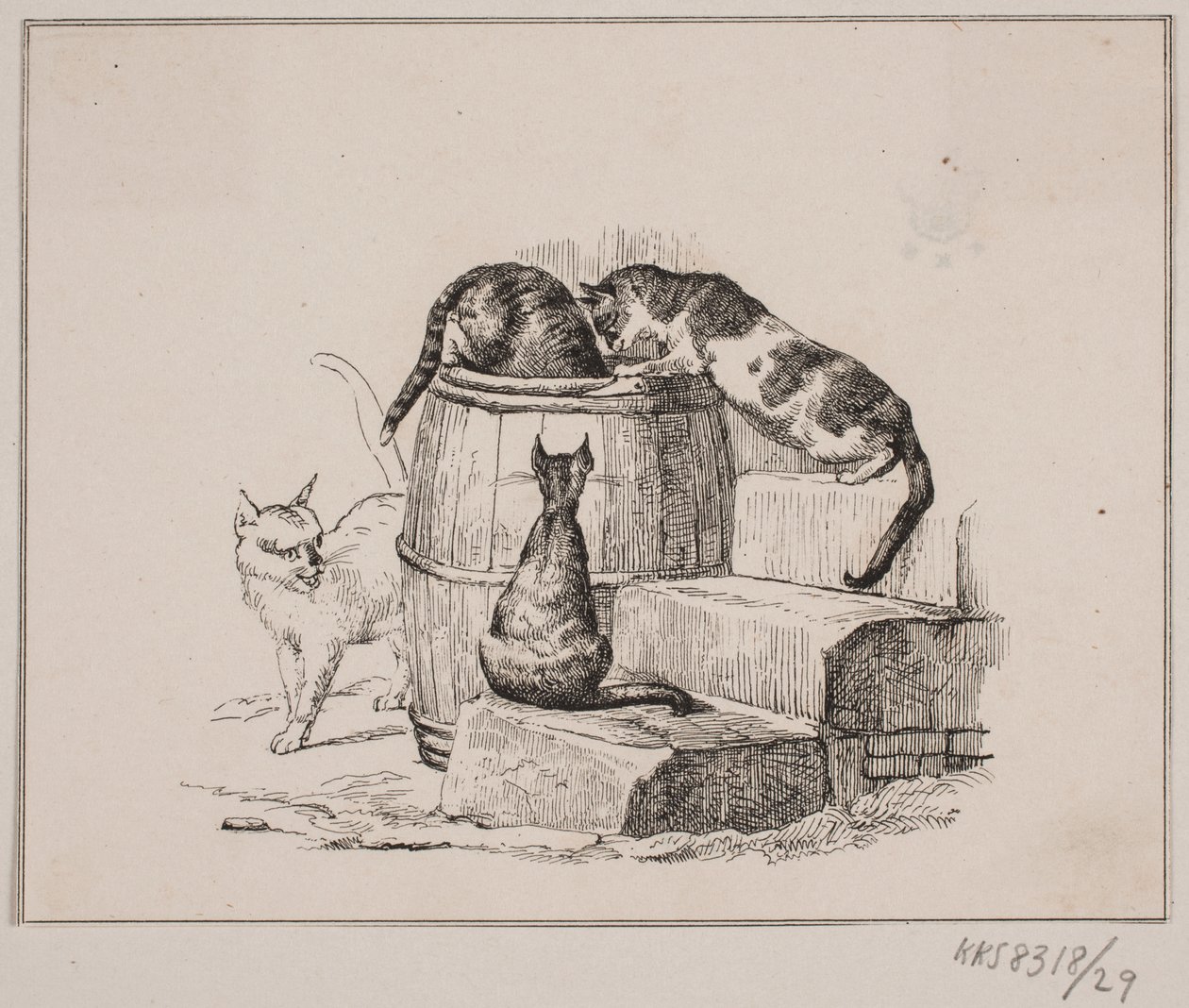 I gatti da Johan Adolph Kittendorff