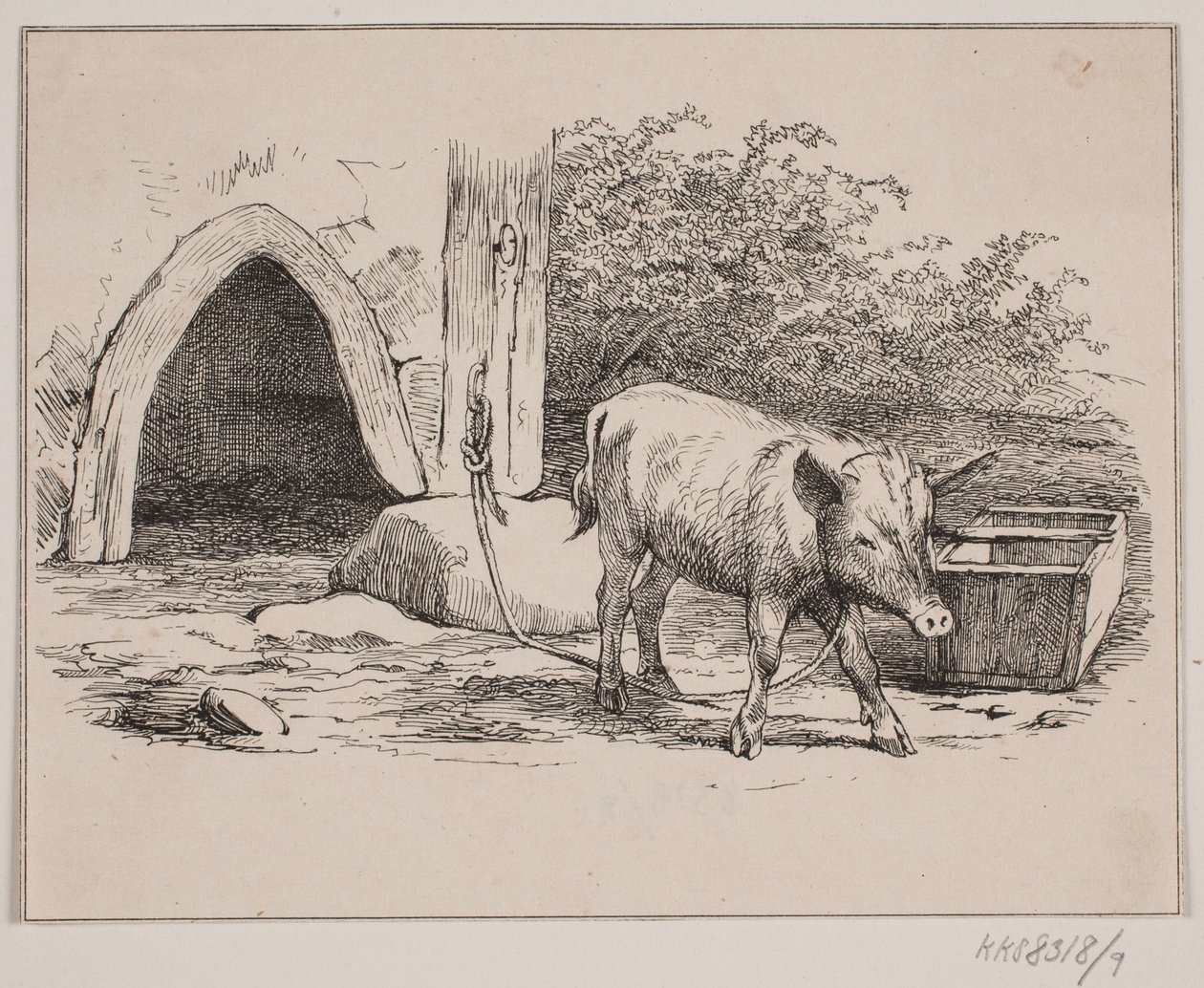 Il maiale incatenato da Johan Adolph Kittendorff