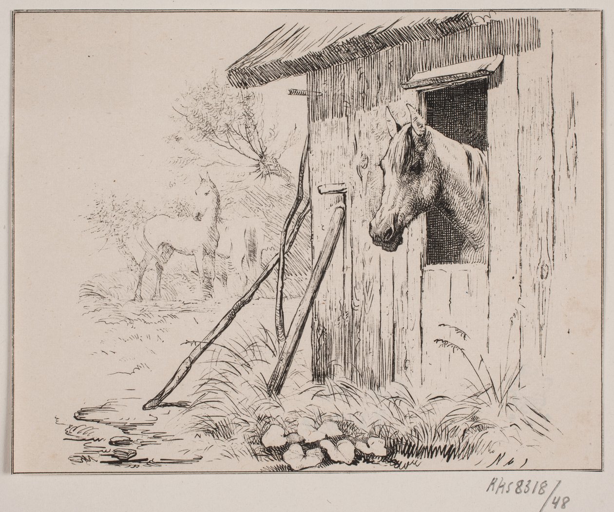 Il cavallo del mulino da Johan Adolph Kittendorff