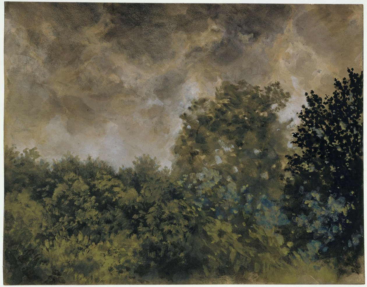 Vista su un bosco di latifoglie da Adolph Menzel