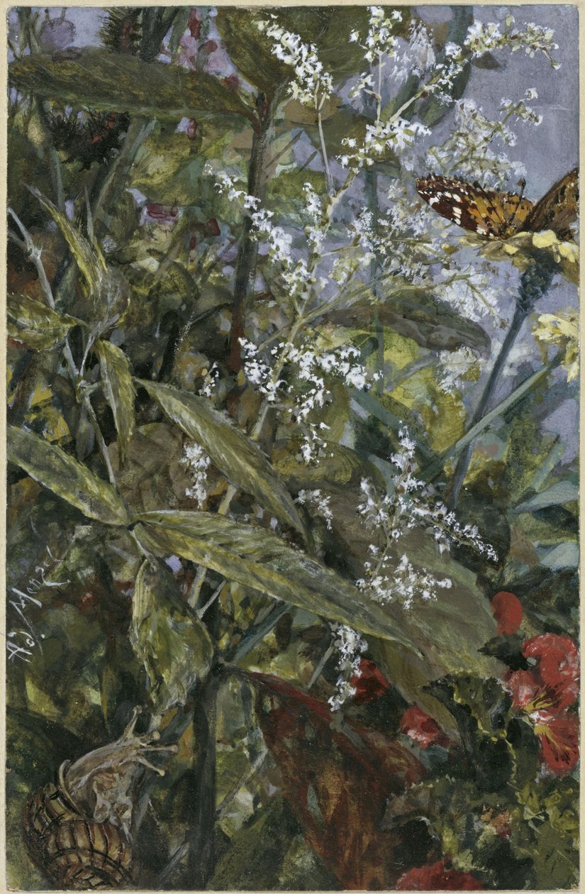 Fiori con una farfalla e una lumaca. Tratto dall’“Album dei bambini” da Adolph Menzel