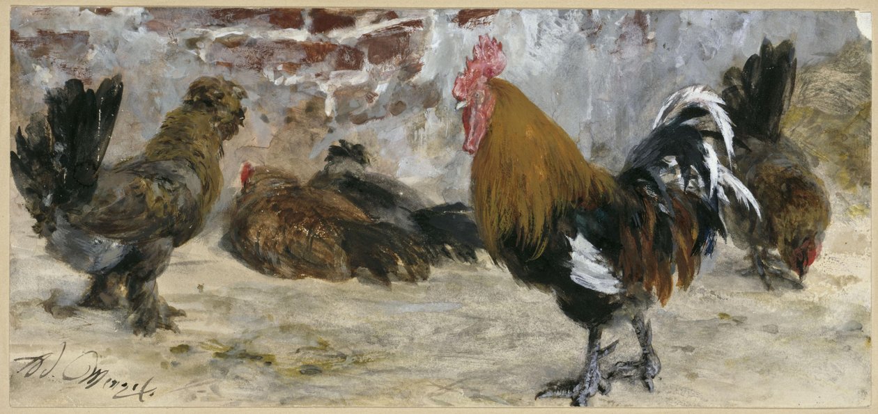 Il gallo e le galline. Dall