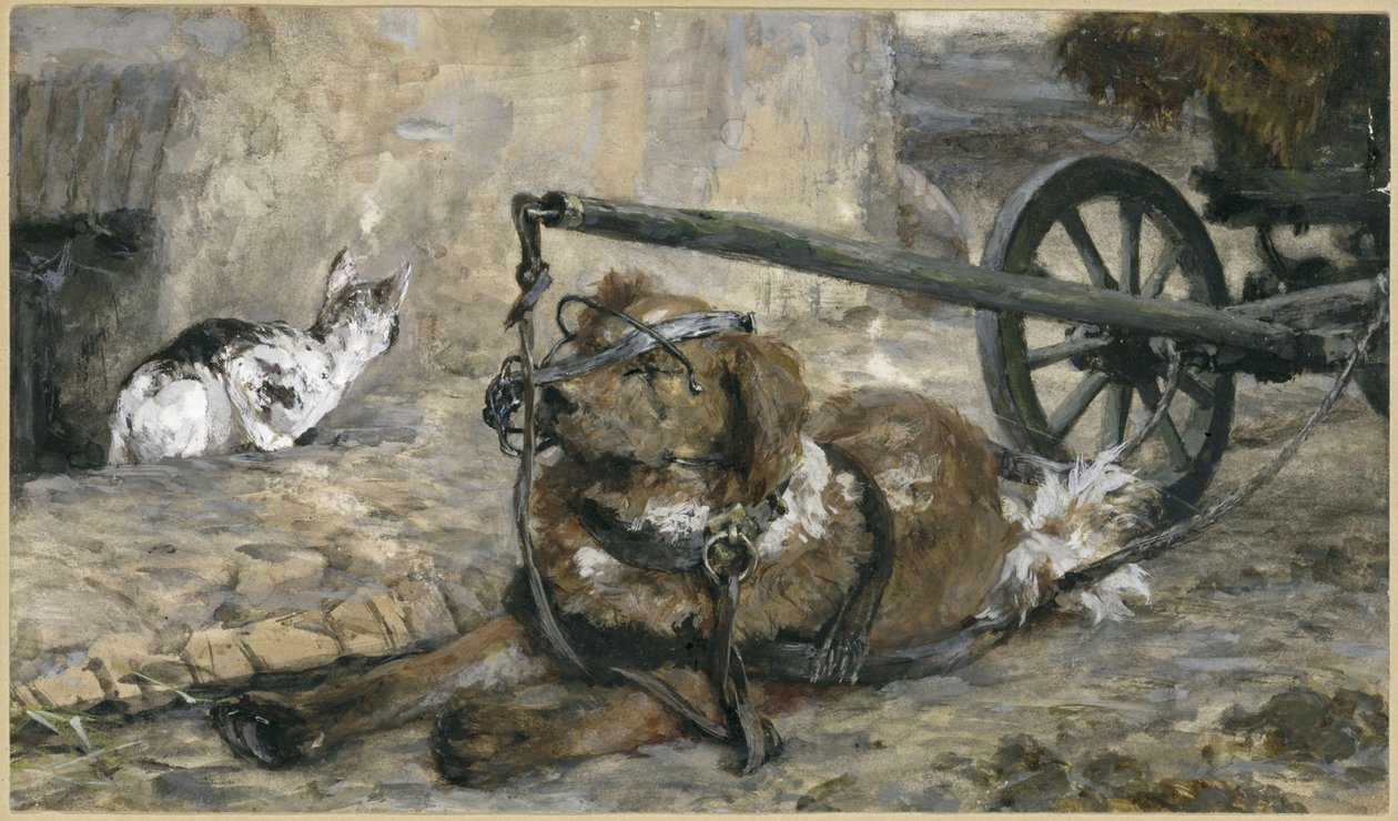 Il cane da ferma e il gatto. Dall
