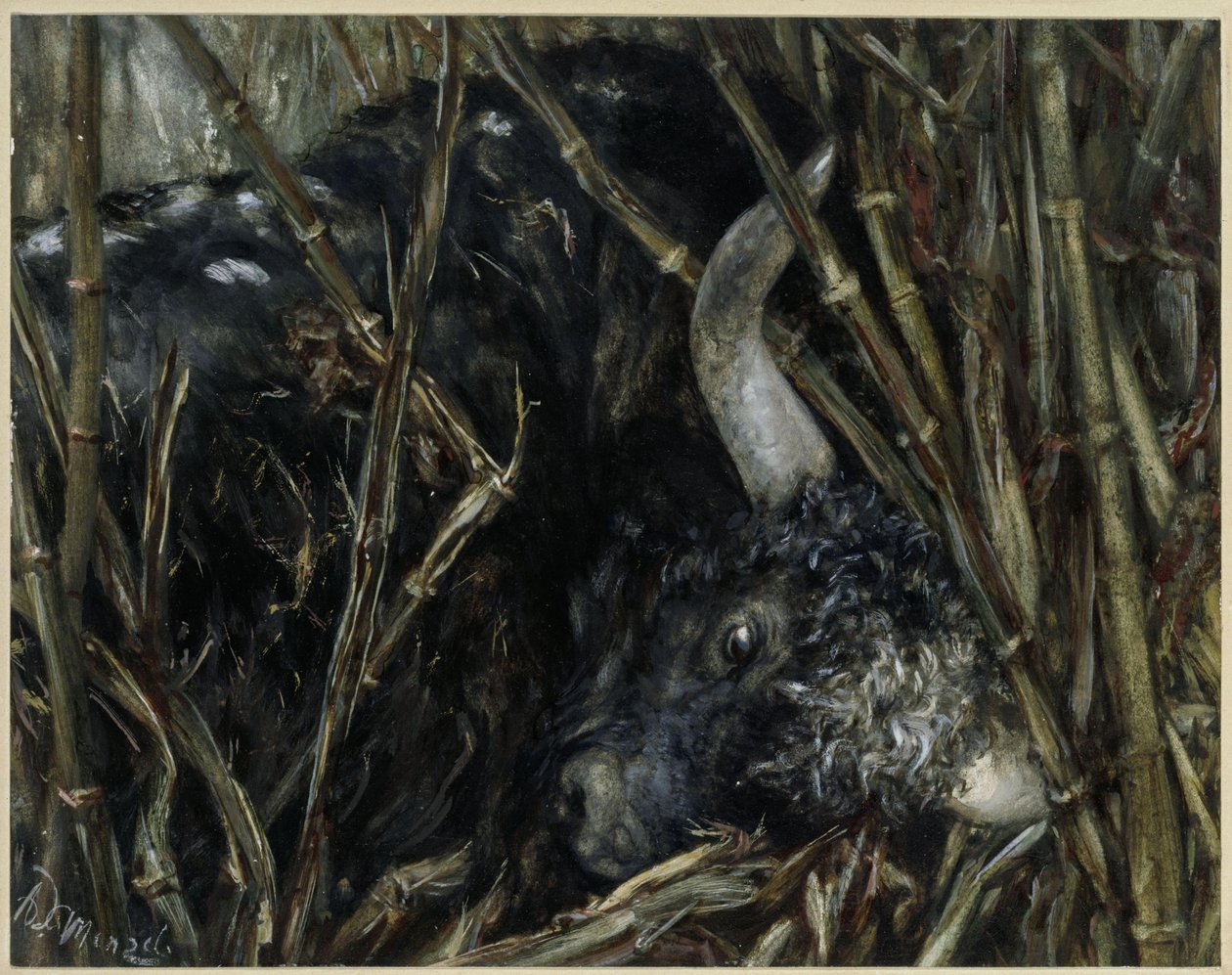 Il toro yak nel bambù. Dall