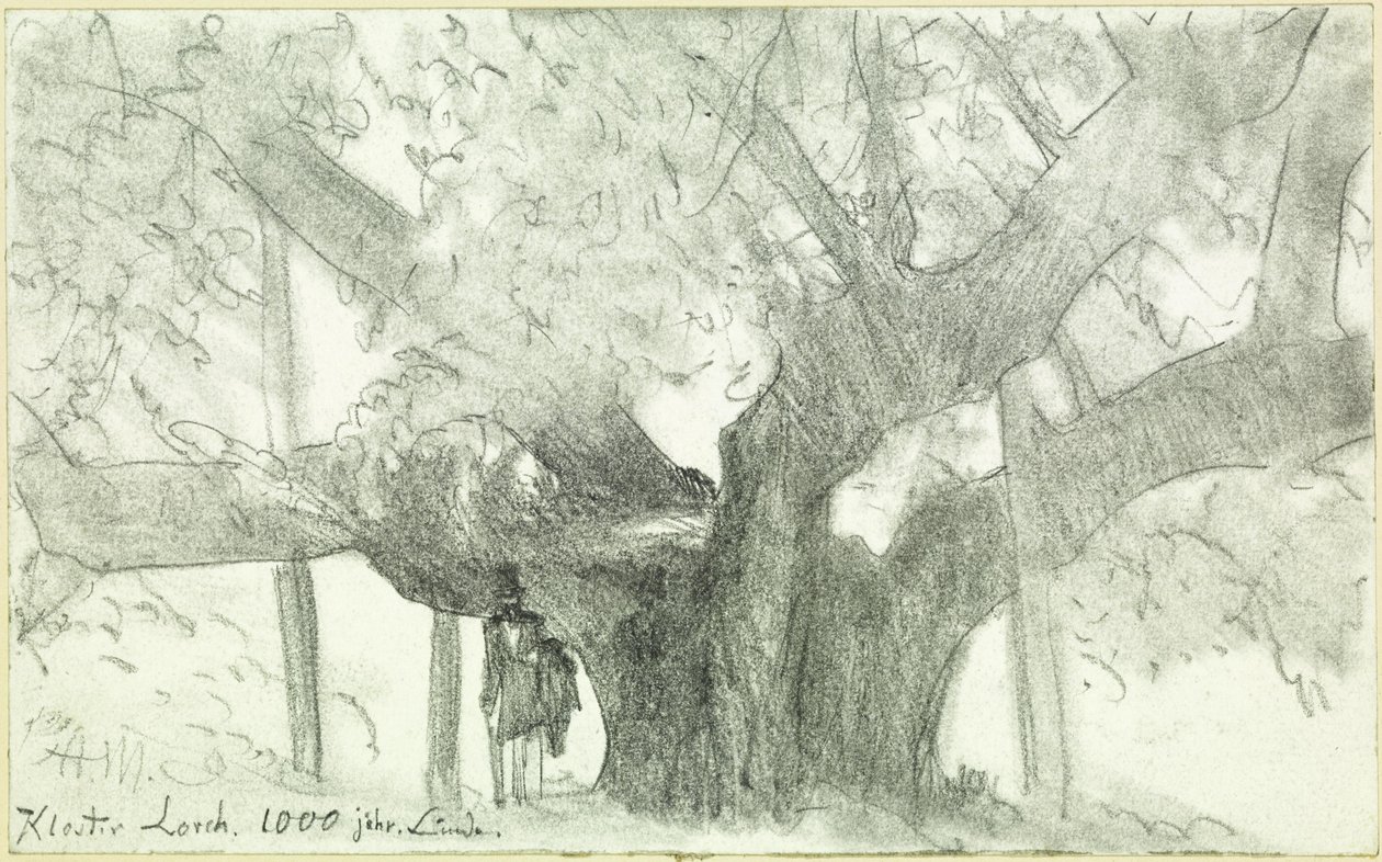 Il tiglio millenario nel monastero di Lorch da Adolph Menzel