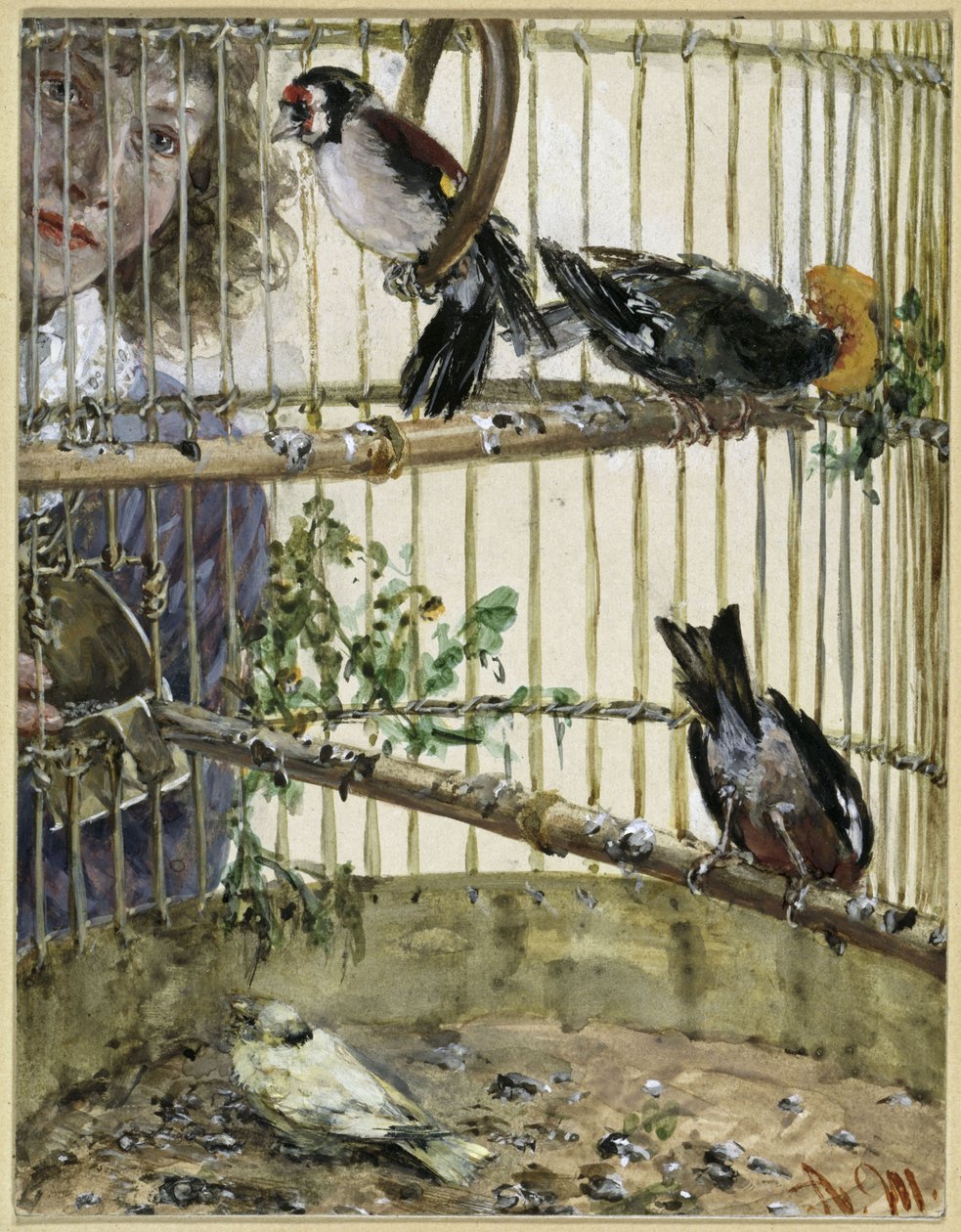 I cardellini e il canarino nel contadino. Tratto da “Kinderalbum” da Adolph Menzel