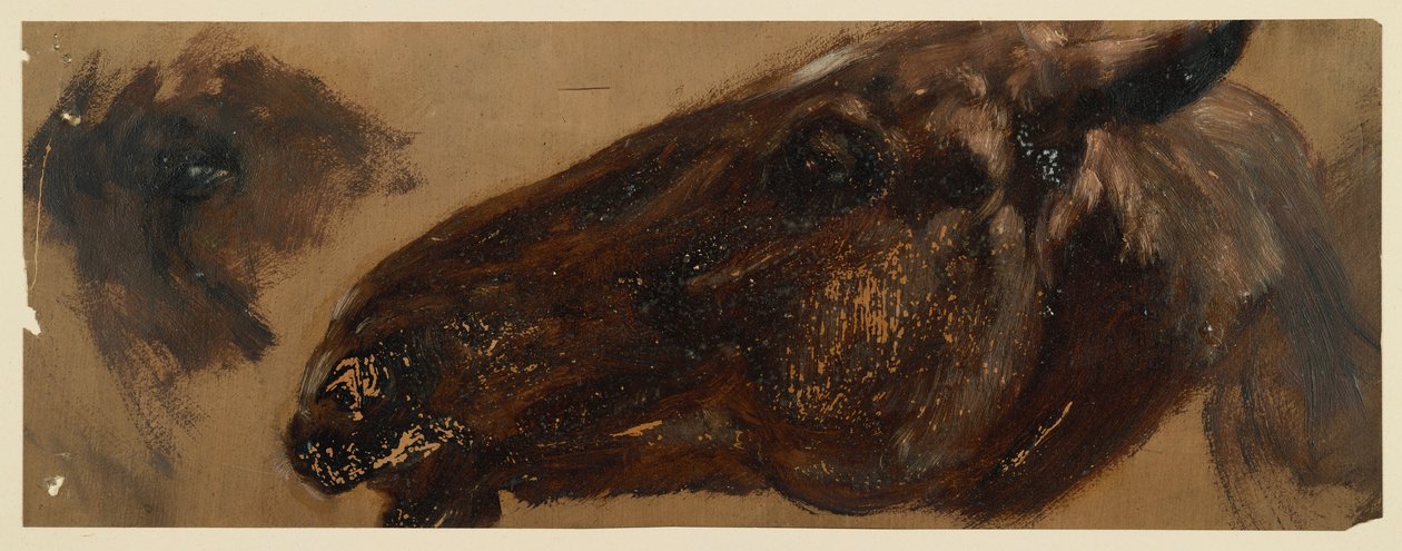 Testa di cavallo rivolta verso sinistra, con la zona degli occhi ripetuta da Adolph Menzel