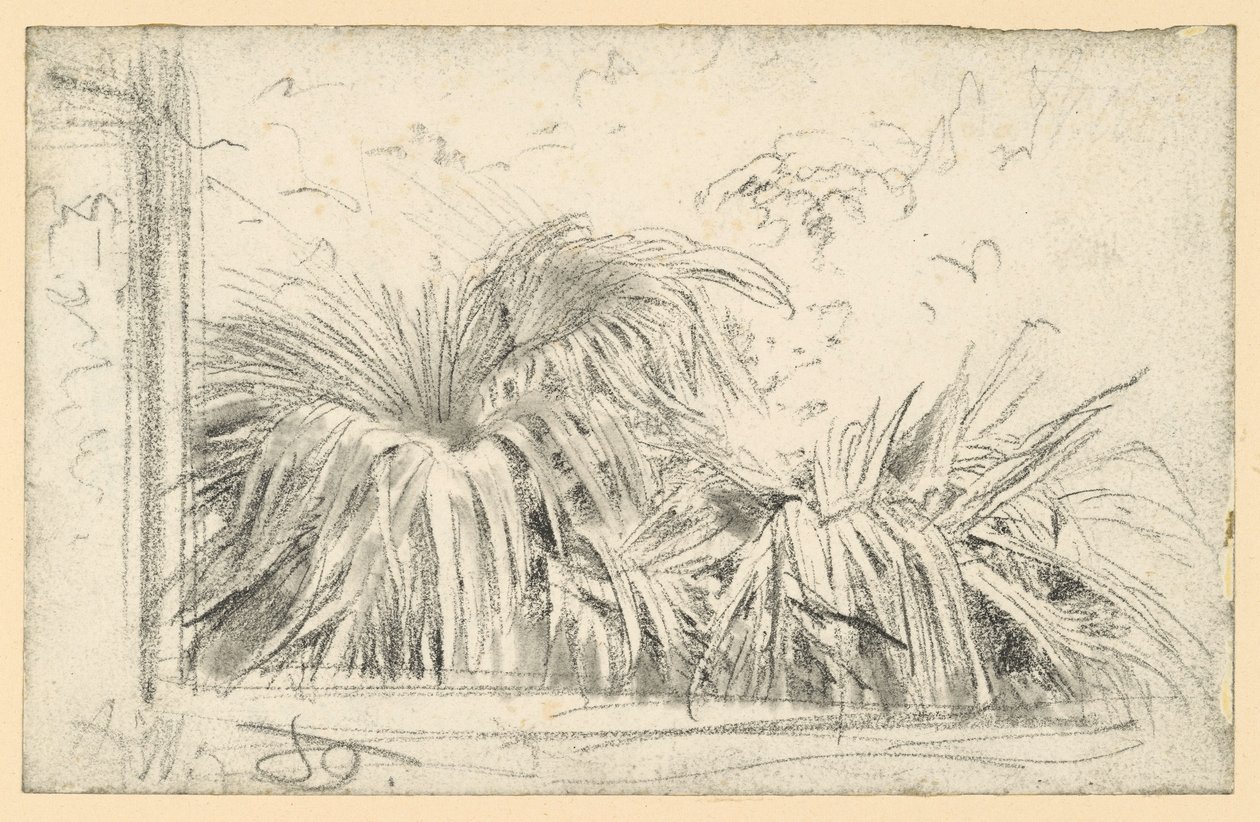 Ramoscelli di palma sul davanzale della finestra da Adolph Menzel