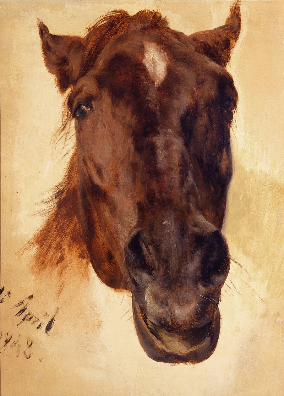 Testa di cavallo da Adolph Menzel