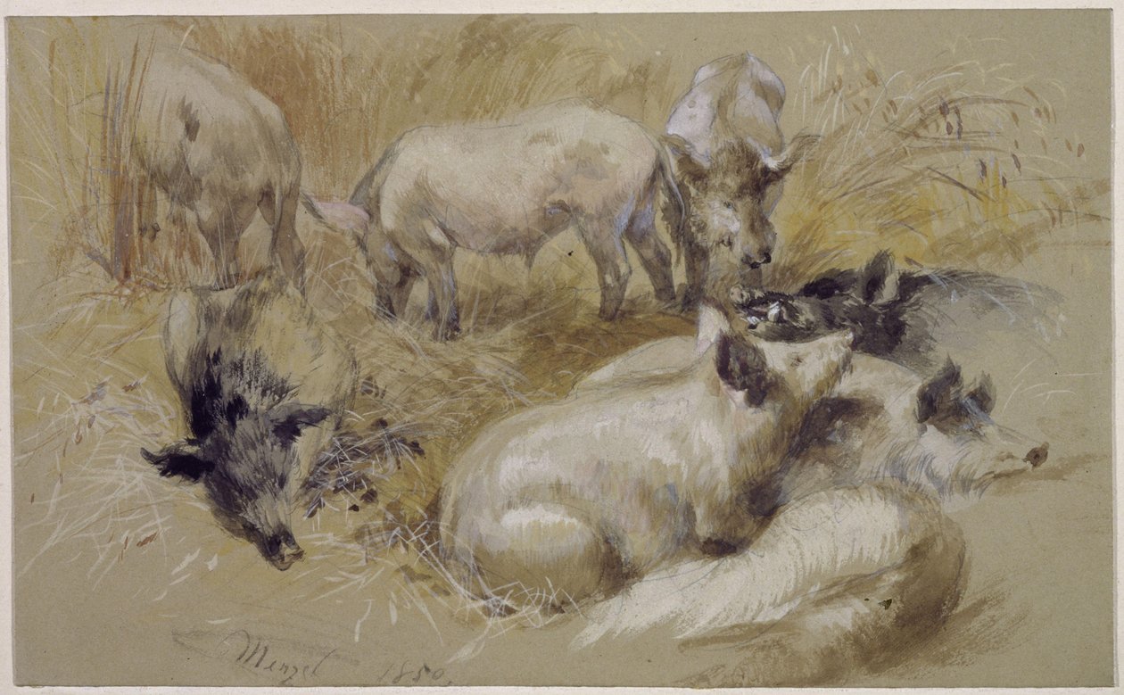 Maiali in un campo di grano da Adolph Menzel