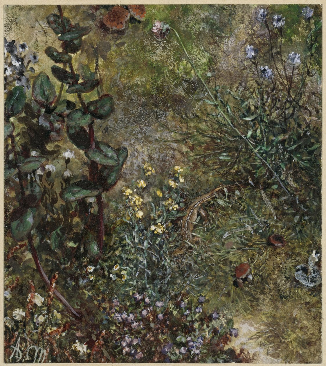Il suolo della foresta con la lucertola. Tratto dall’“Album dei bambini” da Adolph Menzel
