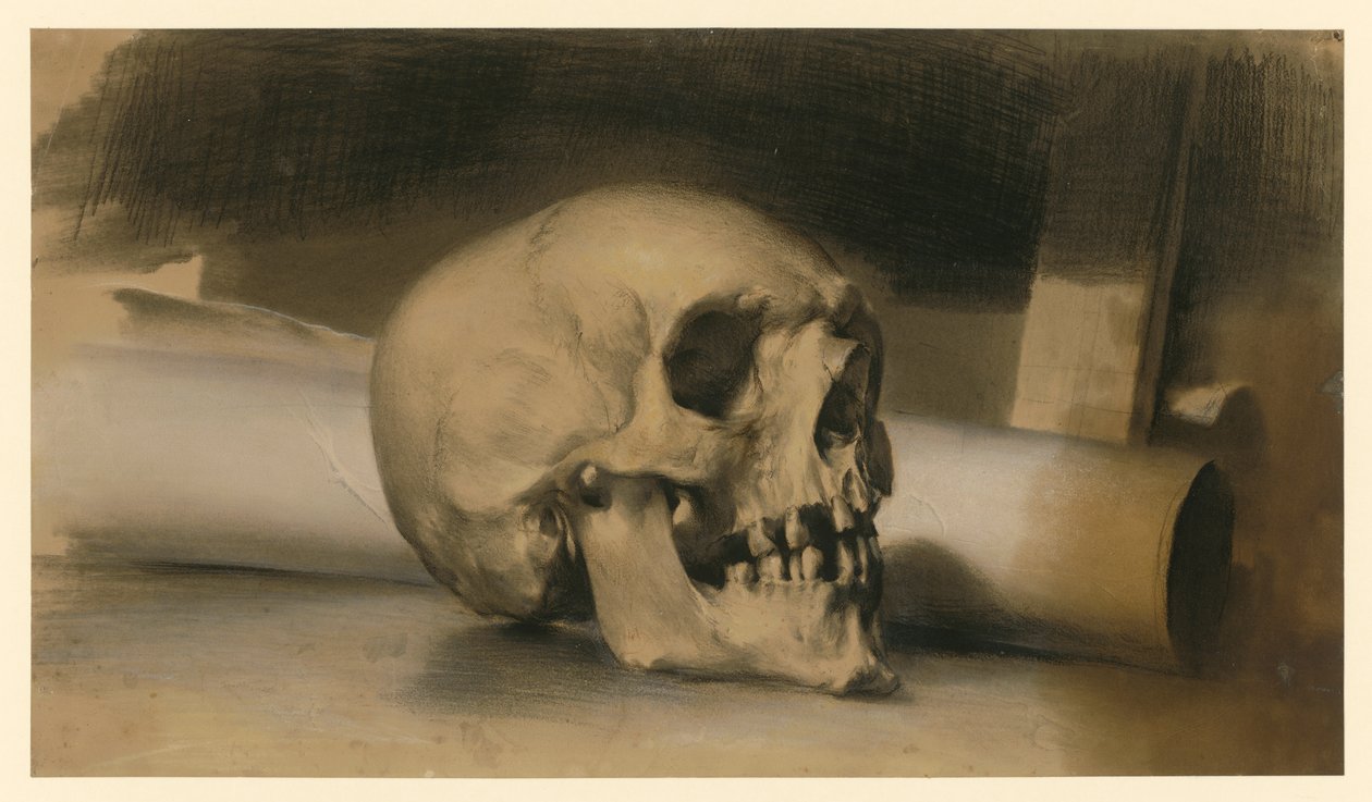 teschio umano rivolto verso destra, con un rotolo di carta sullo sfondo da Adolph Menzel