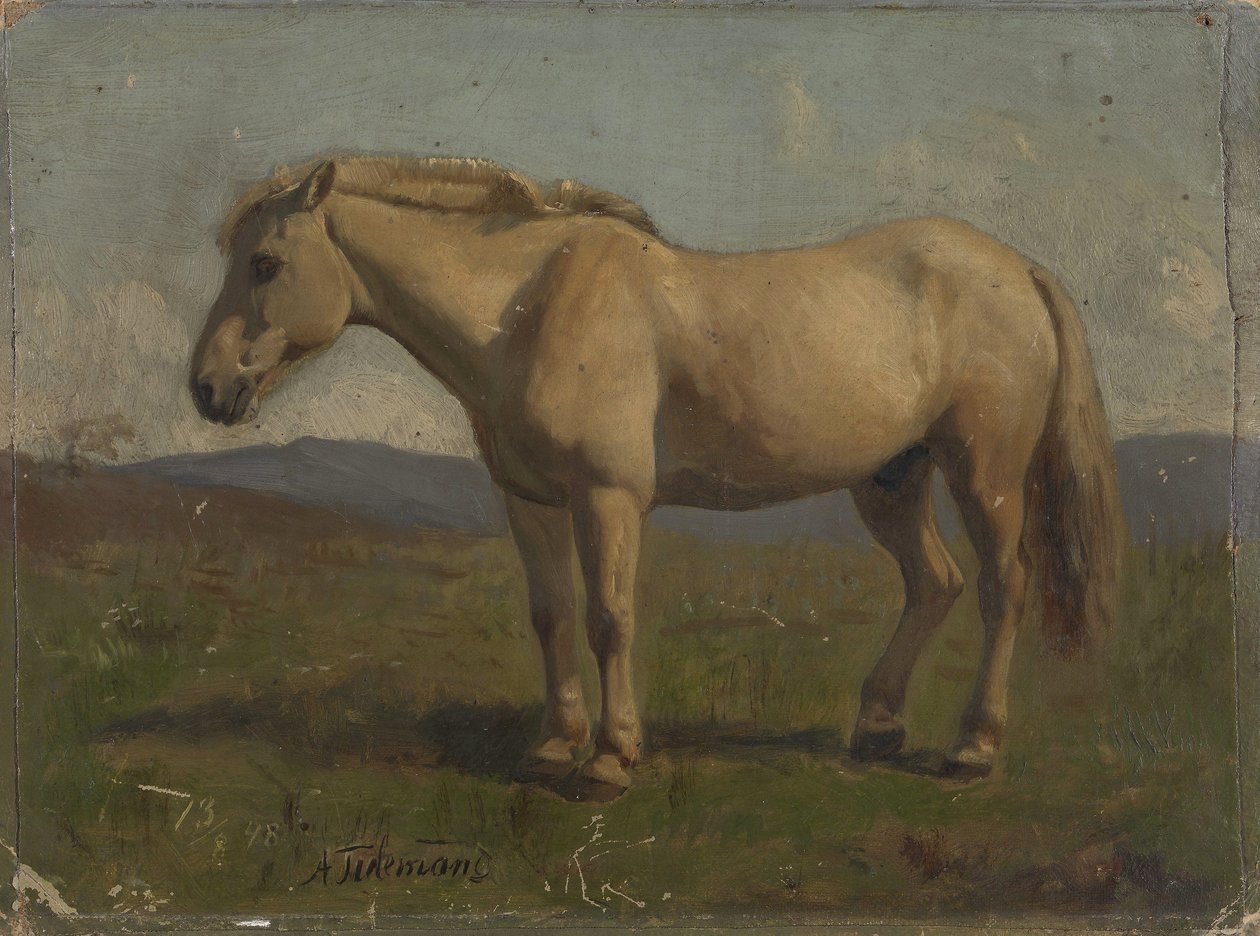 Un cavallo dal manto fulvo da Adolph Tidemand