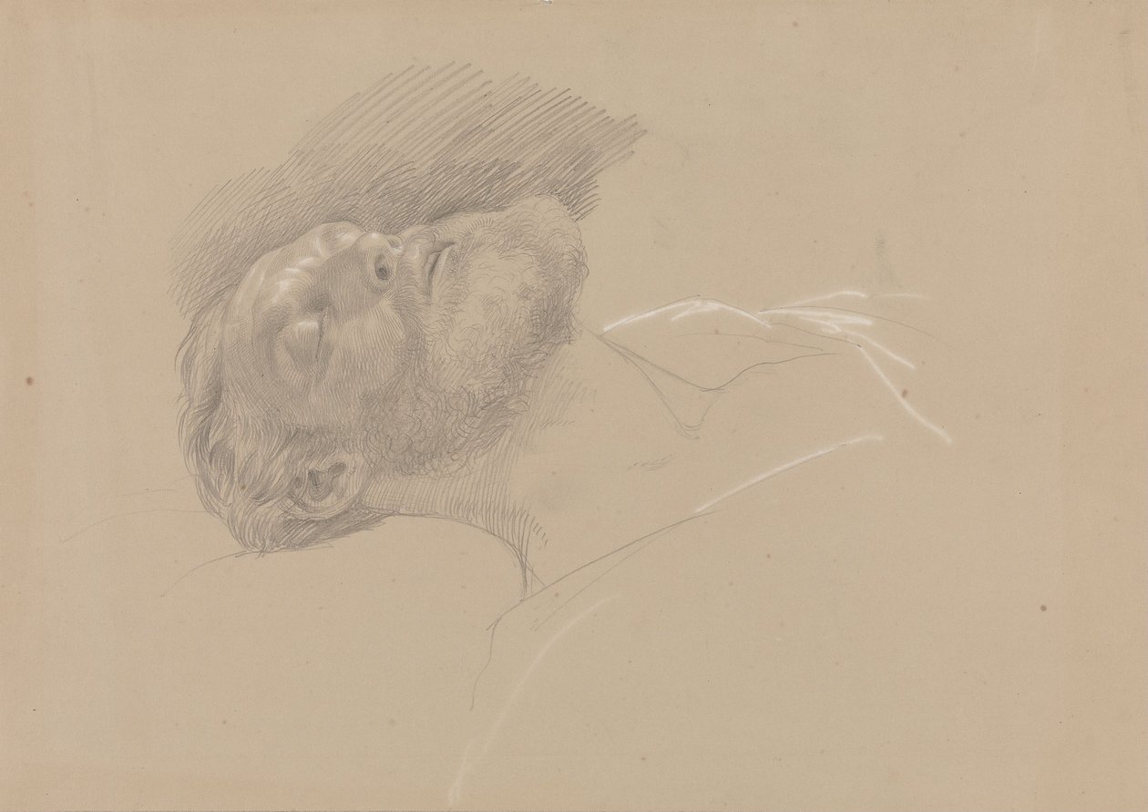 Håkon Jarl da Adolph Tidemand