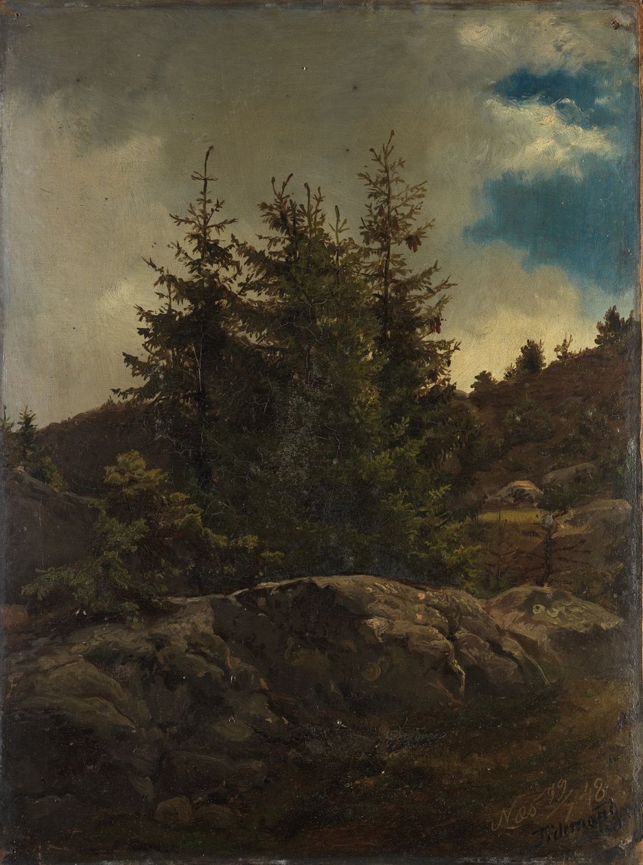 Paesaggio di Nes nell’Hallingdal da Adolph Tidemand