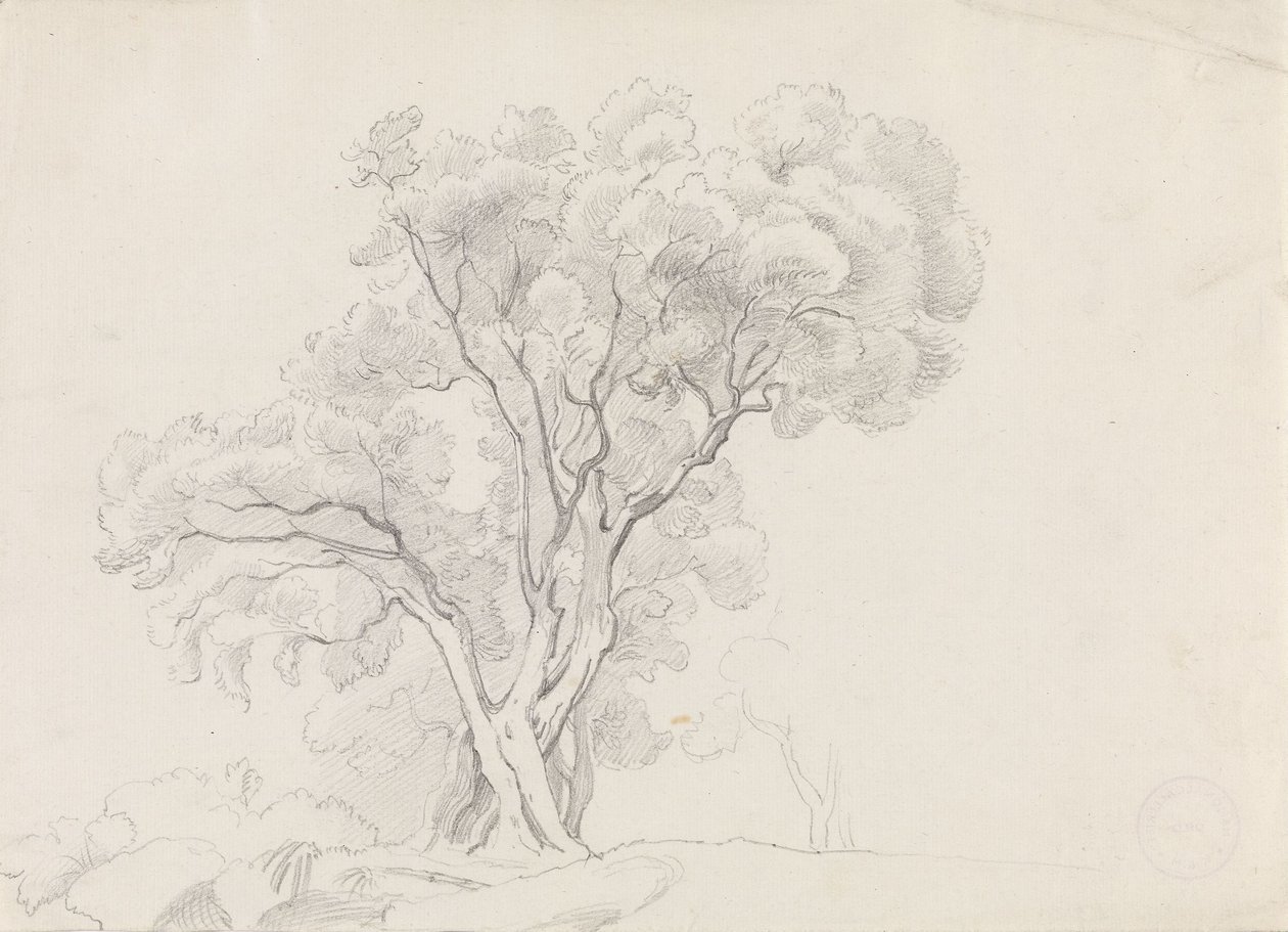 Alberi a foglia caduca da Adolph Tidemand