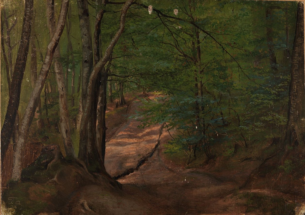 Strada nel bosco da Adolph Tidemand