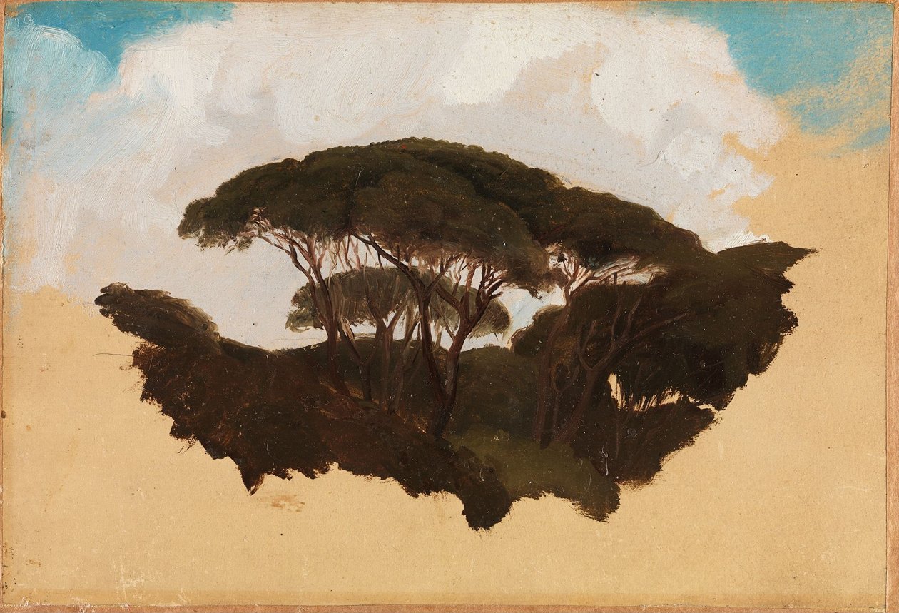 Studio sui pini da pinoli da Adolph Tidemand