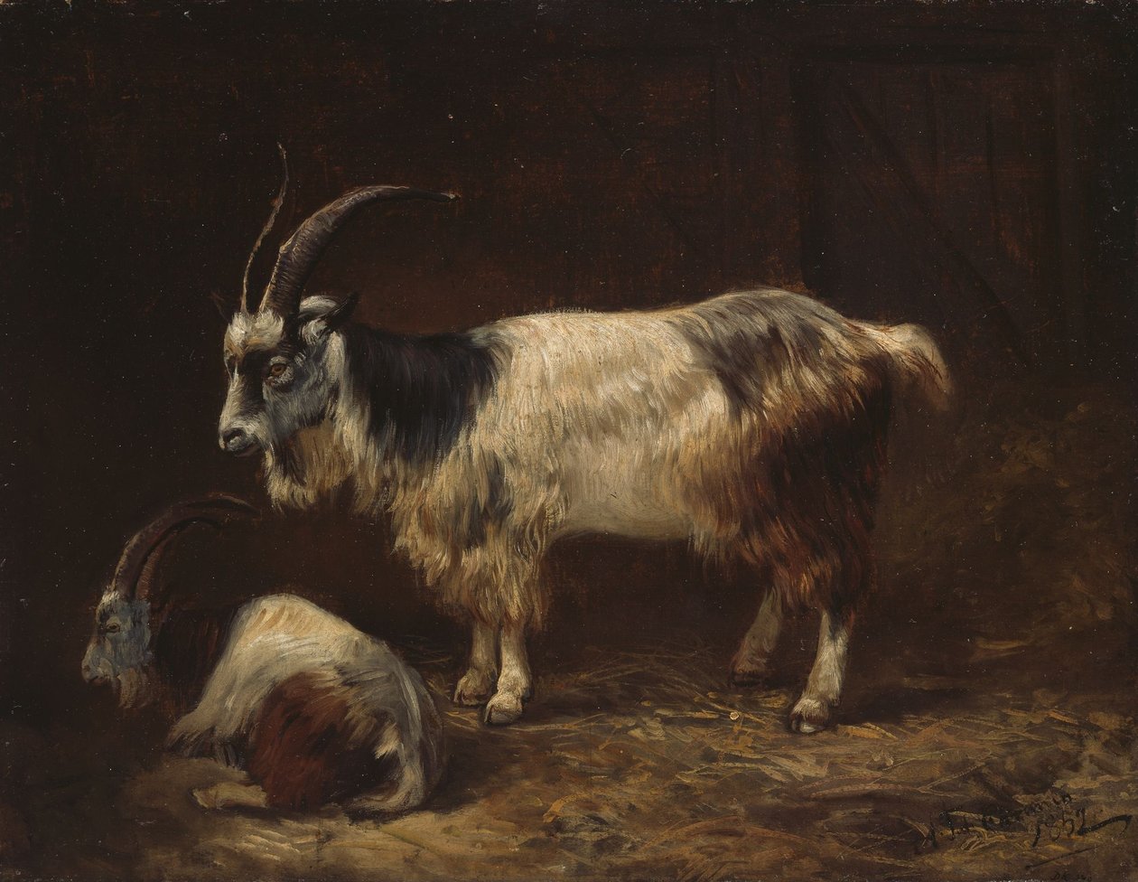 Due capre da Adolph Tidemand