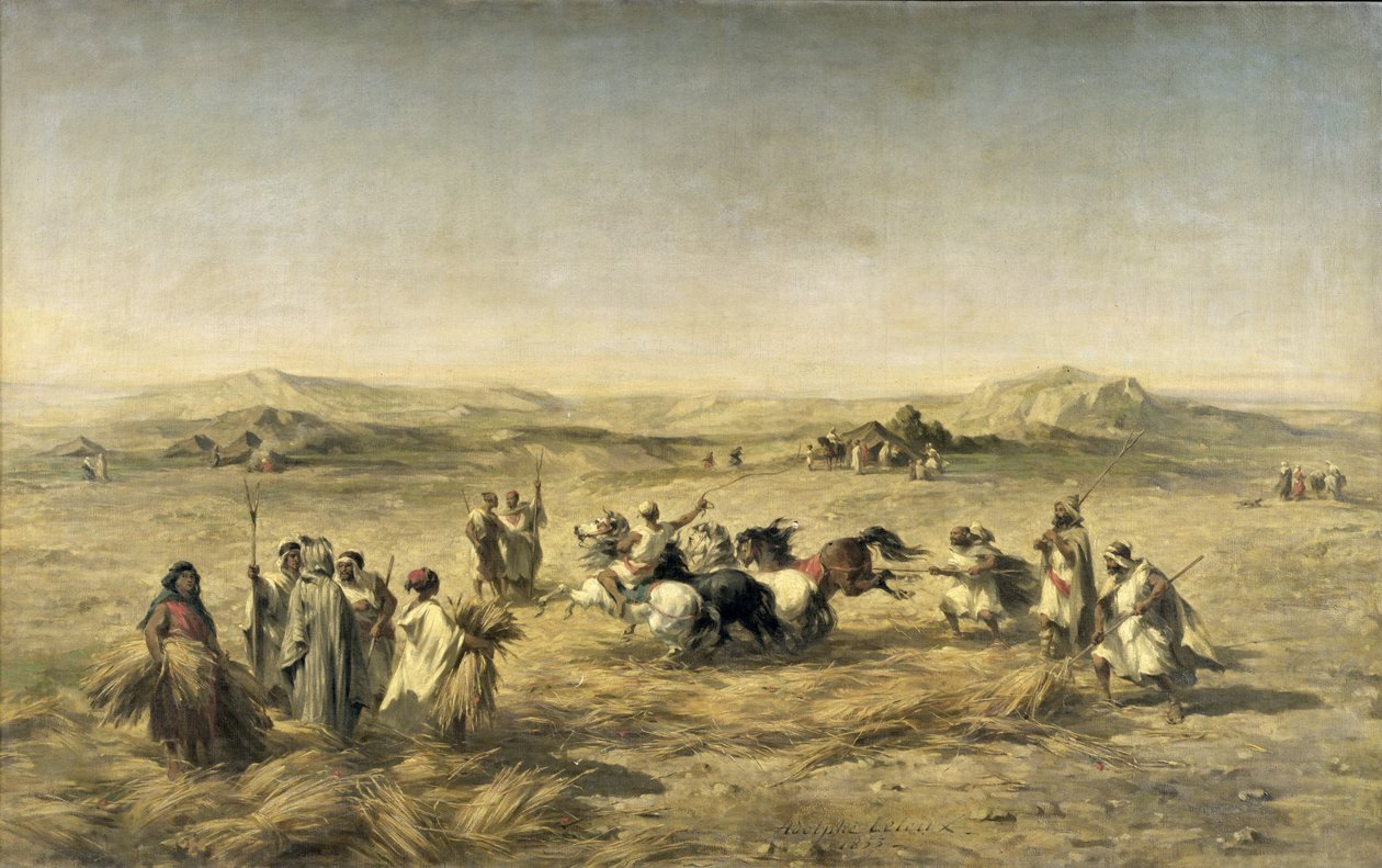 Trebbiatura del grano in Algeria, 1853 da Adolphe Pierre Leleux