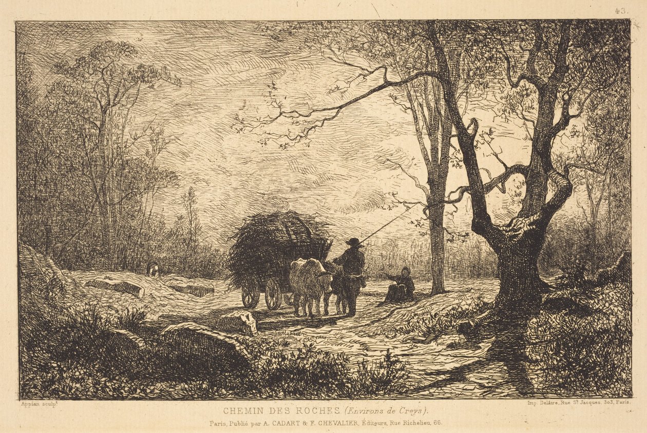 Sentiero delle Rocce da Adolphe Appian