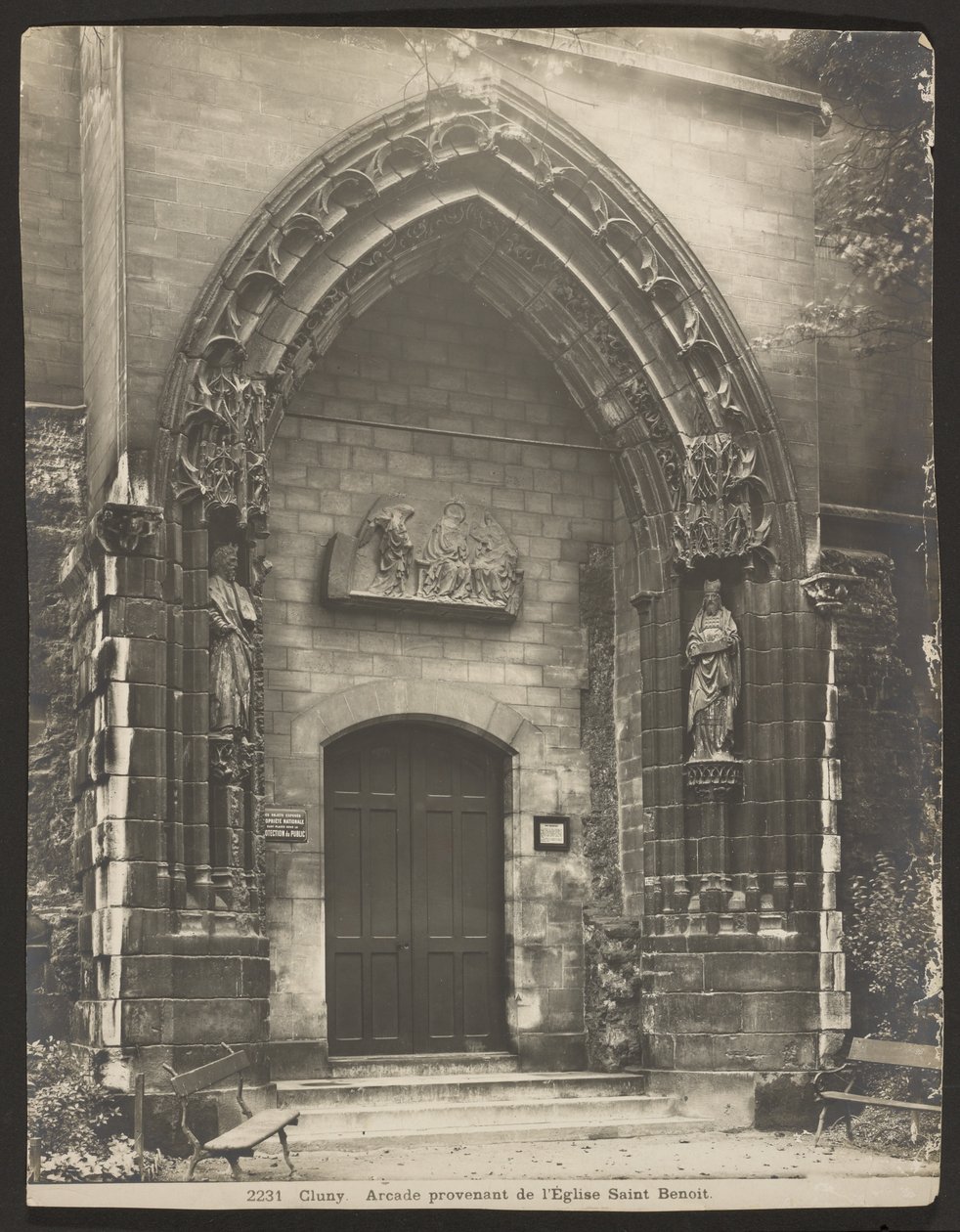 Cluney da Adolphe Braun