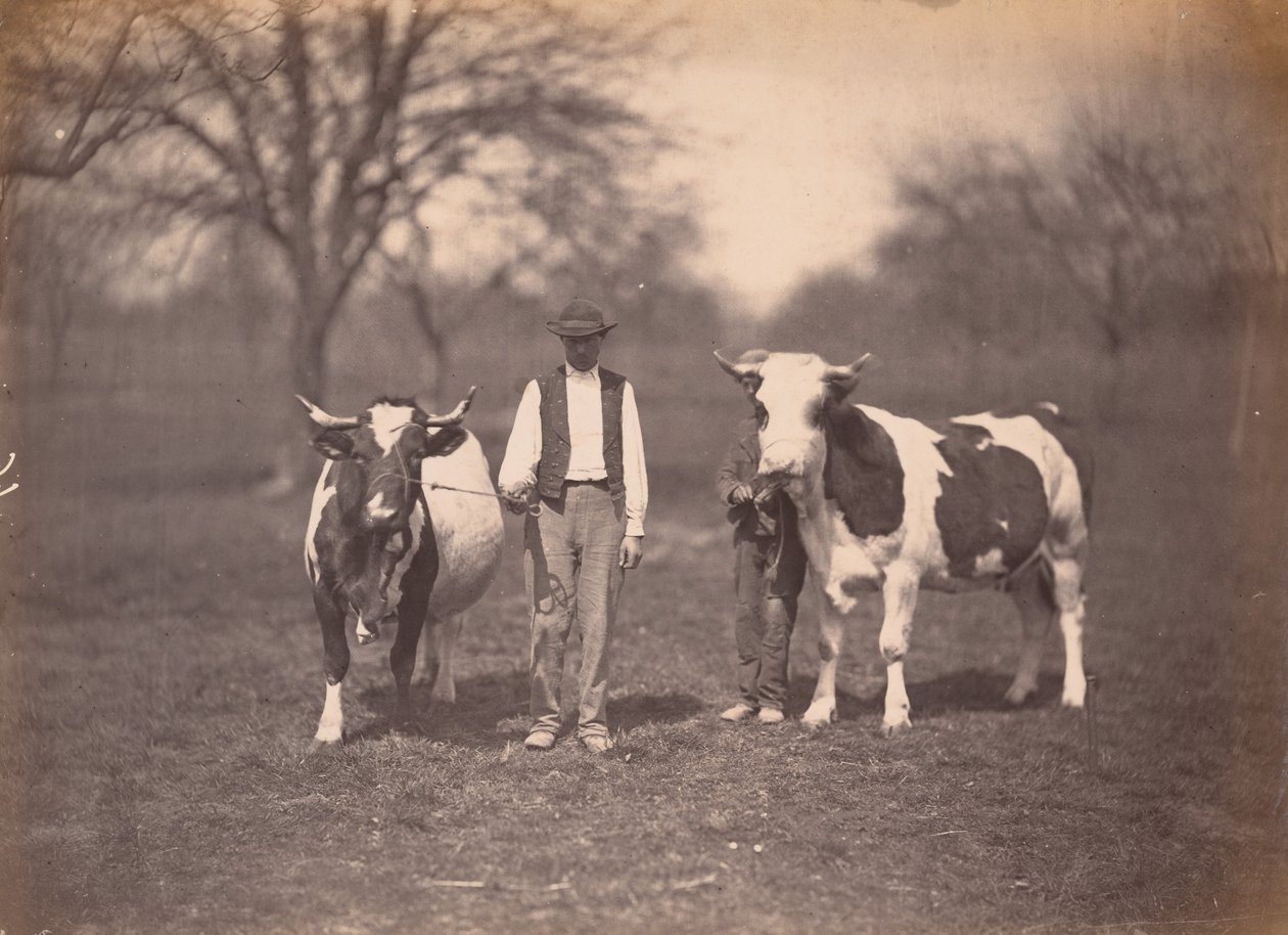 Paesaggio da Adolphe Braun
