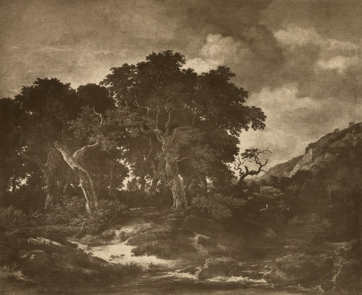 Pittura di paesaggio di Ruysdael da Adolphe Braun