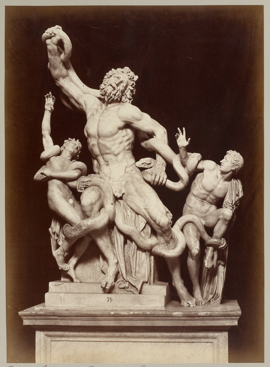 Il Laocoonte nei Musei Vaticani da Adolphe Braun