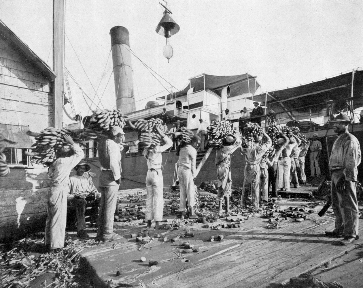 Caricamento delle banane, Port Antonio, Giamaica, c1905 da Adolphe Duperly and Son