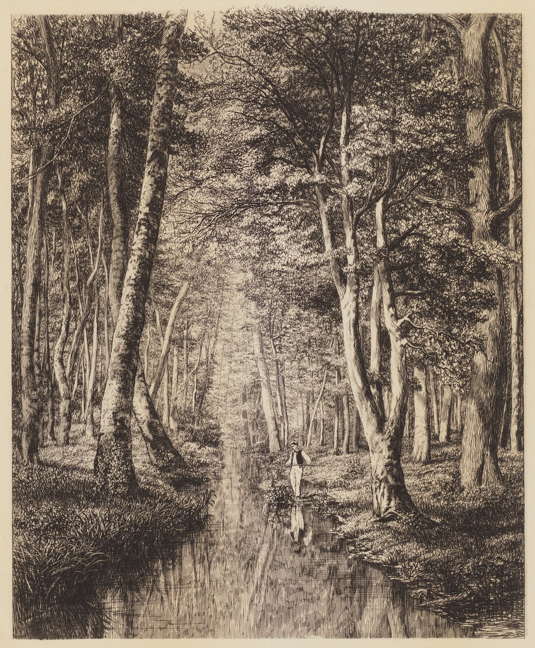 Fiume nel Bosco da Adolphe Martial Potemont