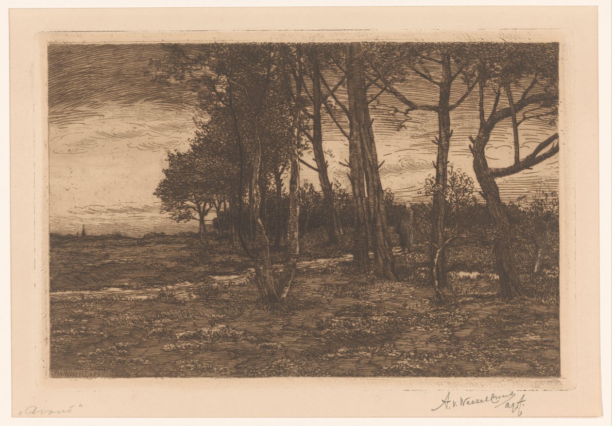 Sera da Adolphe P.H J. van Weezel Errens (signed by artist)