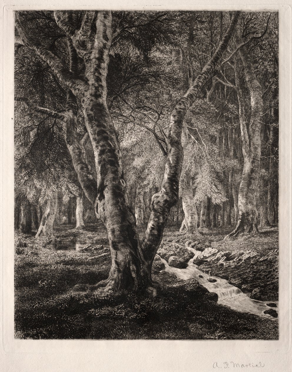 Foresta di Pierrefonds da Adolphe Théodore Jules Martial Potémont