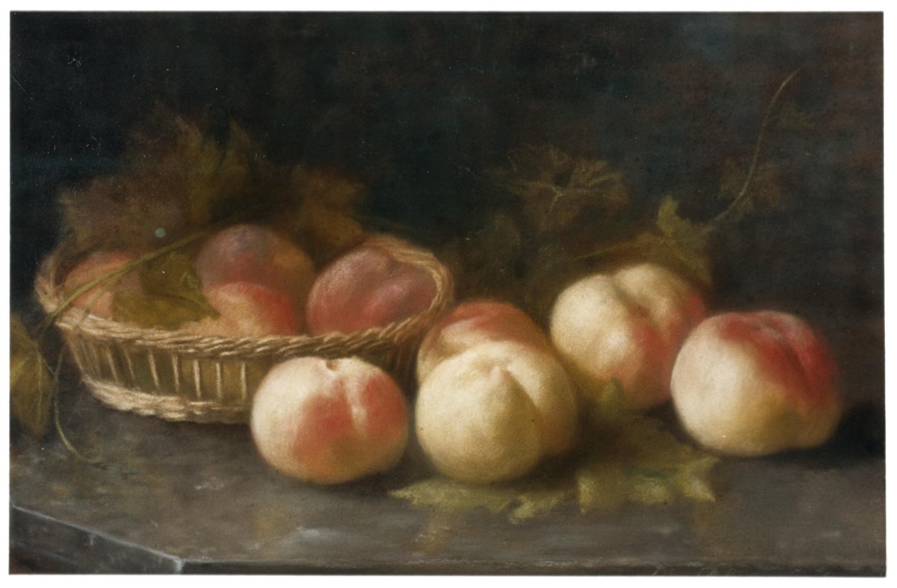 Pesche attribuite da Adri Bleuland van Oordt