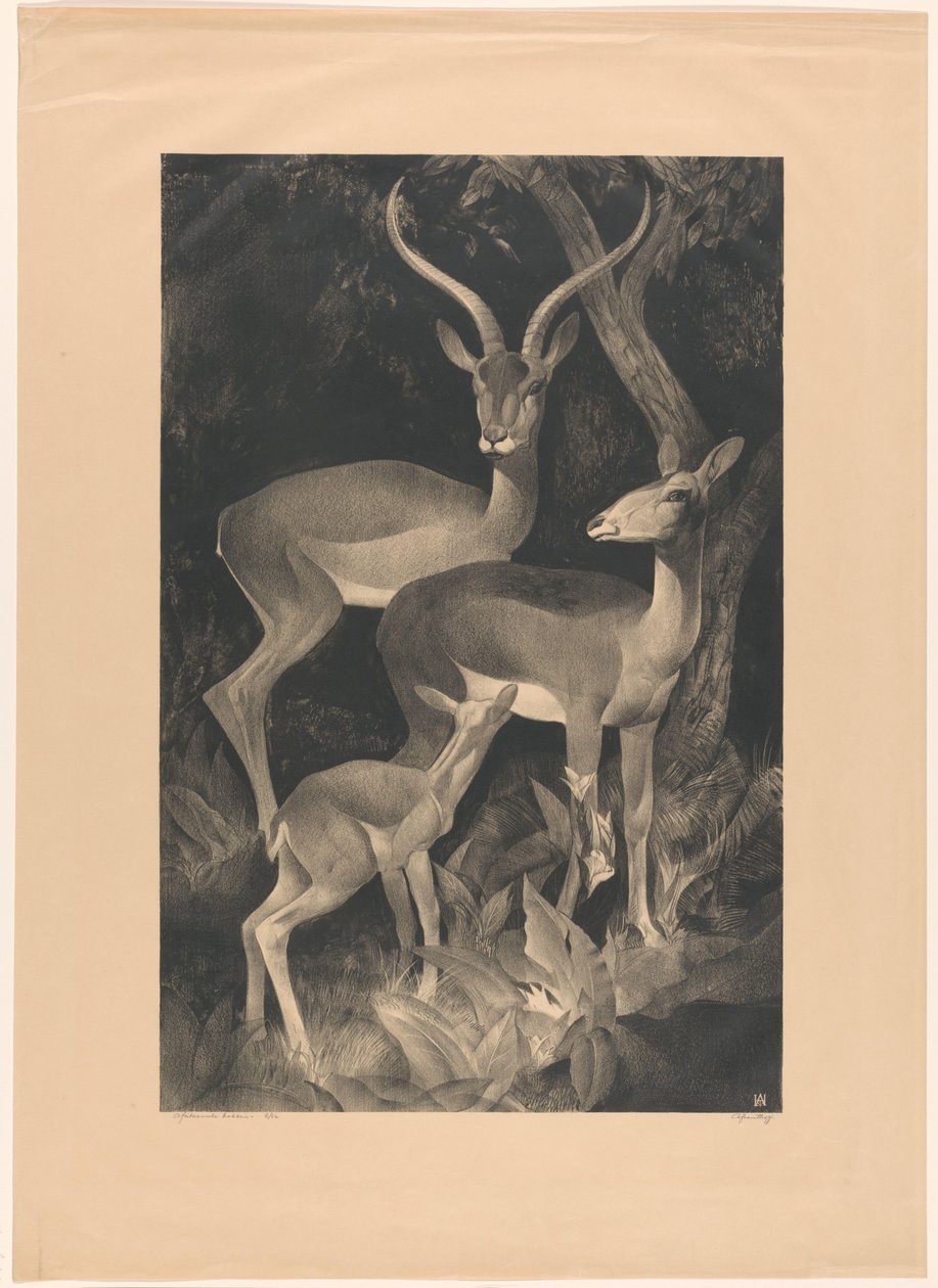 Capre africane da Adriaan J. van 