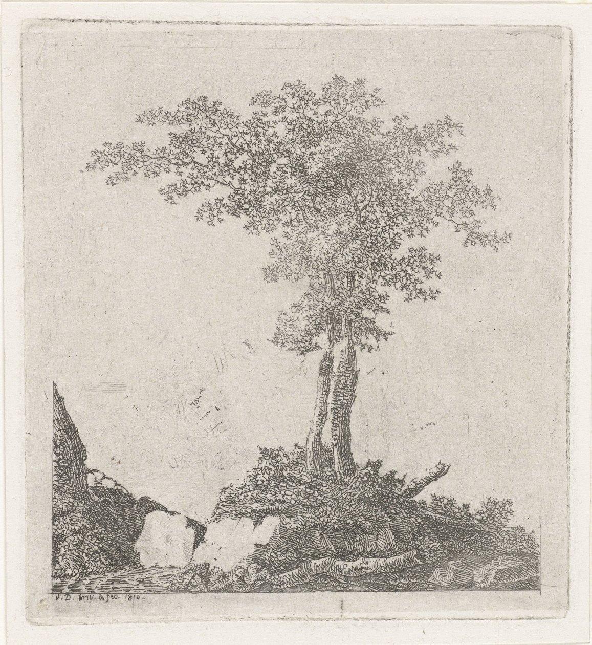 Due alberi da Adriaan Jacob Willem van Dielen
