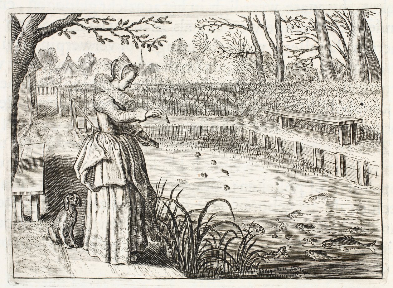 Nutrire i pesci, illustrazione da 