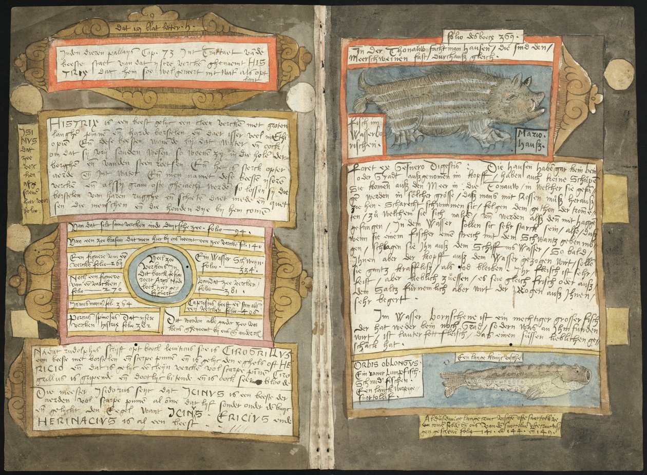 Visboeck di Adriaen Coenen - KB 78 E 54 - folios 370v (sinistra) e 371r (destra) da Adriaen Coenen