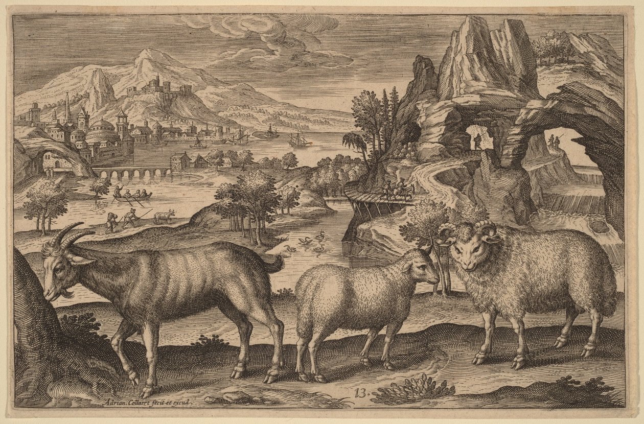 Una capra, una pecora e un montone da Adriaen Collaert