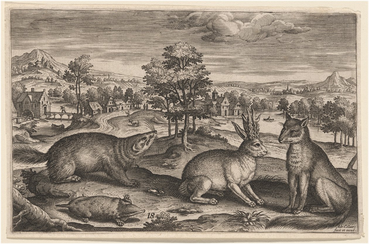 Una talpa, un tasso, una lepre cornuta e una volpe da Adriaen Collaert