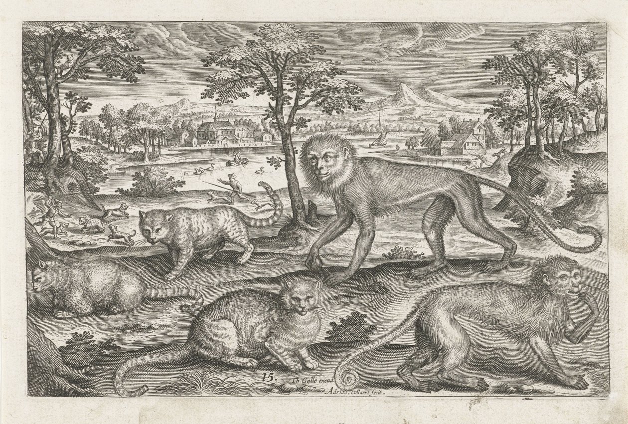 Scimmie e gatti da Adriaen Collaert
